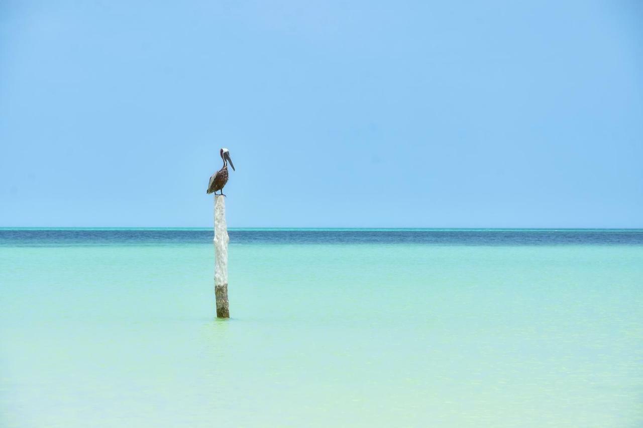 Moon Dreams Yum Balam Otel Isla Holbox Dış mekan fotoğraf